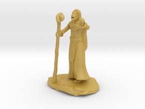 Dragonborn Wizard Outlander Guide with Staff in Tan Fine Detail Plastic