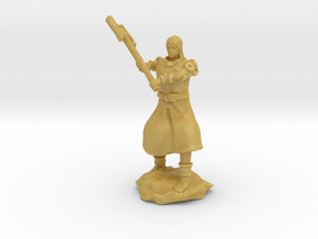 Human Fighter Noblewoman with Greataxe & Chainmail in Tan Fine Detail Plastic