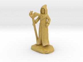 Dracandros, dragon cultist with Staff in Tan Fine Detail Plastic