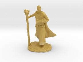 Male Elf Wizard With Spellbook And Staff in Tan Fine Detail Plastic