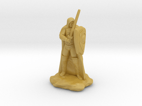 Human Ranger with Sword and Shield in Tan Fine Detail Plastic