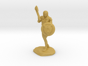 Wandacea, the Barbarian with Sword and Shield in Tan Fine Detail Plastic