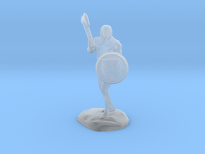 Wandacea, the Barbarian with Sword and Shield in Clear Ultra Fine Detail Plastic