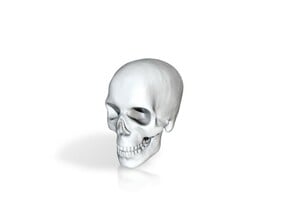 skull in Clear Ultra Fine Detail Plastic