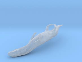 Vancleavea in Clear Ultra Fine Detail Plastic