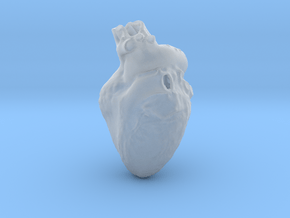 Real Anatomical Heart Hollow in Clear Ultra Fine Detail Plastic