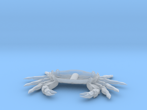 crab ventral in Clear Ultra Fine Detail Plastic