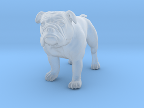 Bulldog S Full Color Sandstone in Clear Ultra Fine Detail Plastic
