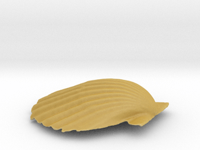 Scallop Shell in Tan Fine Detail Plastic