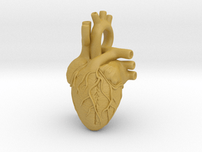 Anatomical Heart Pendant in Tan Fine Detail Plastic