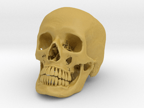 Jack-o'-lantern skull from CT scan, half size in Tan Fine Detail Plastic