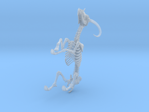 Yale Skeleton in Clear Ultra Fine Detail Plastic