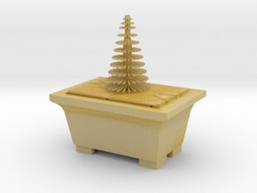 Bonsai Pine Tree Plant Model  in Tan Fine Detail Plastic