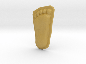 Bigfoot Footprint Cast 1/3 Scale in Tan Fine Detail Plastic