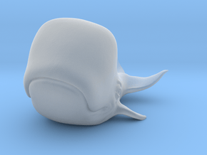 Happy Whale small 60mm long in Clear Ultra Fine Detail Plastic