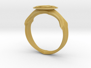Christian Navigator Ring 2 in Tan Fine Detail Plastic