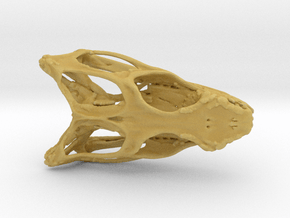 Dragon Skull in Tan Fine Detail Plastic
