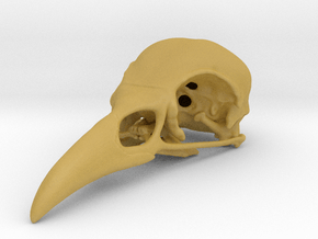 Bird Skull - Macro in Tan Fine Detail Plastic