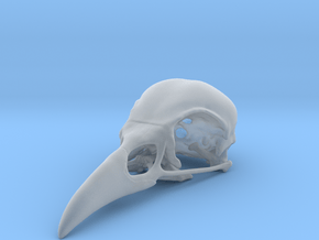 Bird Skull - Macro in Clear Ultra Fine Detail Plastic