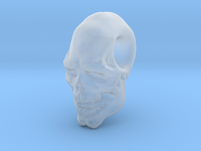 FridayThe13thPainted Joker Skull in Clear Ultra Fine Detail Plastic
