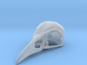 Bird Skull - Micro in Clear Ultra Fine Detail Plastic