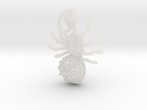Spider pendant in Clear Ultra Fine Detail Plastic