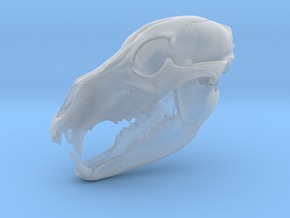 Bear Skull. Jointed Jaw. 10cm in Clear Ultra Fine Detail Plastic