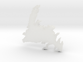 Newfoundland in Clear Ultra Fine Detail Plastic