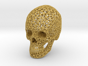 Lace Skull, Half Size in Tan Fine Detail Plastic