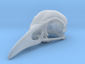 Bird Skull Pendant/Bead in Clear Ultra Fine Detail Plastic