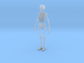 Free Standing Skeleton Figure in Clear Ultra Fine Detail Plastic