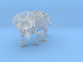 Triceratops horridus skeleton 1:48 scale in Clear Ultra Fine Detail Plastic