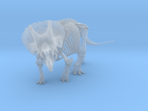 Triceratops horridus skeleton 1:40 scale in Clear Ultra Fine Detail Plastic