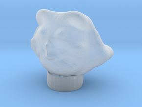 Egyptian Cat Head Made On Sculptris in Clear Ultra Fine Detail Plastic