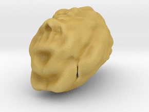 Sculptris Brain in Tan Fine Detail Plastic