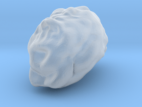 Sculptris Brain in Clear Ultra Fine Detail Plastic