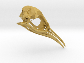 Aptenodytes Adult - Penguin Skull in Tan Fine Detail Plastic