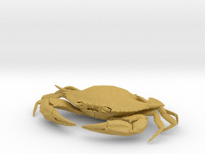Female Blue Crab in Tan Fine Detail Plastic