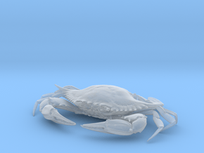 Female Blue Crab in Clear Ultra Fine Detail Plastic
