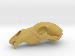 Bear Skull. WT-07. 6cm.  in Tan Fine Detail Plastic