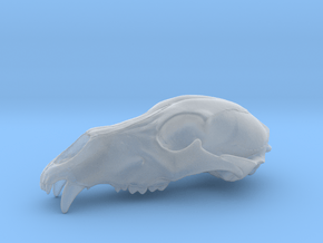 Bear Skull. WT-07. 6cm.  in Clear Ultra Fine Detail Plastic