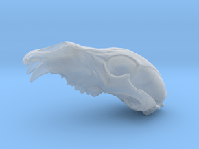 Bear Skull. WT-1. 6cm in Clear Ultra Fine Detail Plastic