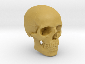 18mm 0.7in Human Skull Crane Schädel че́реп in Tan Fine Detail Plastic