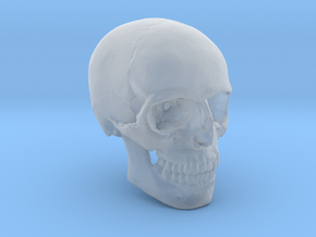18mm 0.7in Human Skull Crane Schädel че́реп in Clear Ultra Fine Detail Plastic
