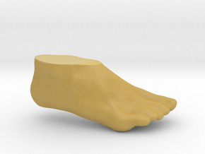Women's Right Foot - Size 6.5-7 in Tan Fine Detail Plastic