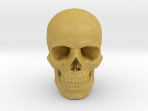 25mm 1in Human Skull Crane Schädel че́реп in Tan Fine Detail Plastic
