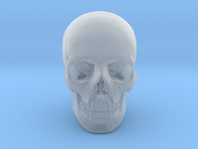 25mm 1in Human Skull Crane Schädel че́реп in Clear Ultra Fine Detail Plastic