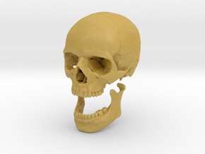 42mm 1.65in Human Skull Crane Schädel че́реп in Tan Fine Detail Plastic