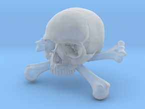 58mm 2.28in Skull & Bones Skull Crane Schädel in Clear Ultra Fine Detail Plastic