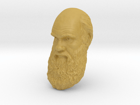Charles Darwin 6" Head Wall Mount in Tan Fine Detail Plastic